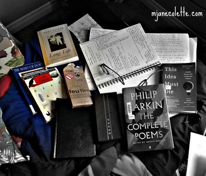 mjc-pile of books and things Cap